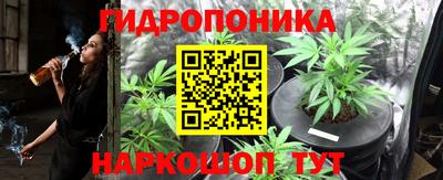 ешки Аргун