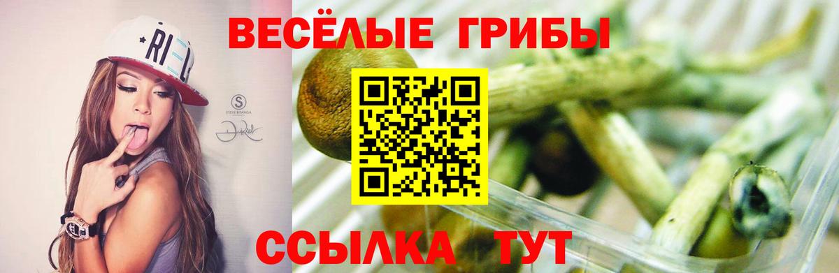 как найти   Галлюциногенные грибы GOLDEN TEACHER  Вход с VPN  Воркута  Галлюциногенные грибы прущие грибы 
